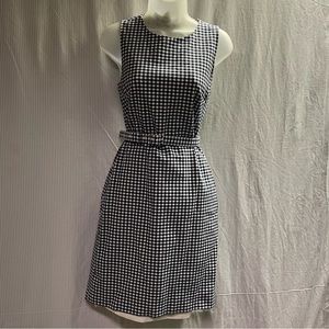 J Crew Navy and White Gingham Dress